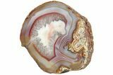 Colorful, Polished Patagonia Agate - Highly Fluorescent! #214915-1